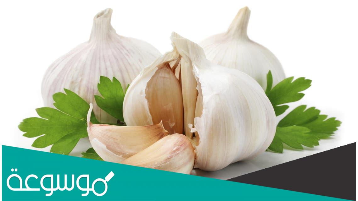 كيفية إزالة رائحة الثوم من الفم بسرعة