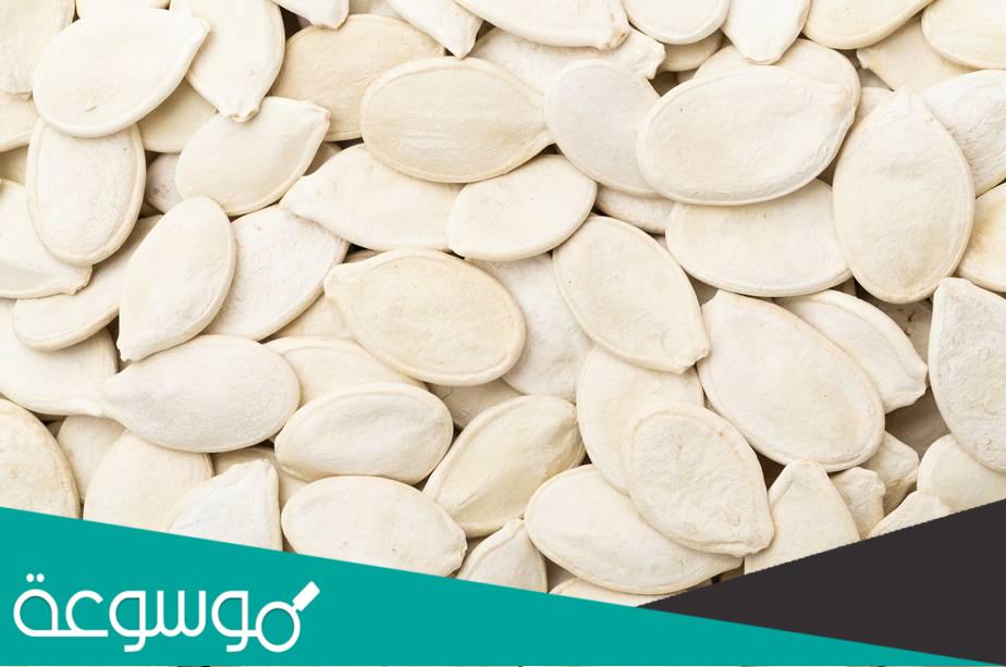 استخدامات و فوائد اللب الأبيض الصحية ستدهشك بالفعل