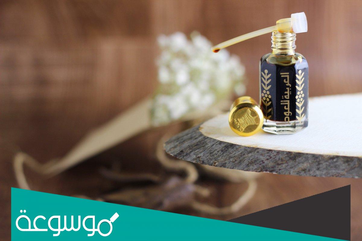 لماذا الذيب يحب دهن العود