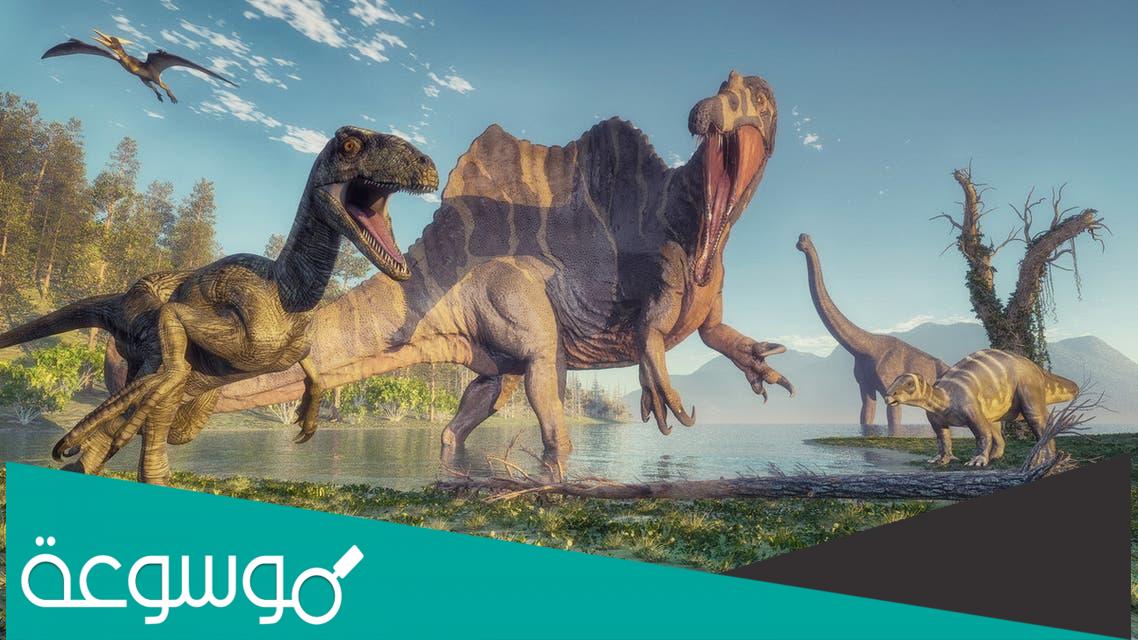لماذا انقرضت الديناصورات من على كوكبنا