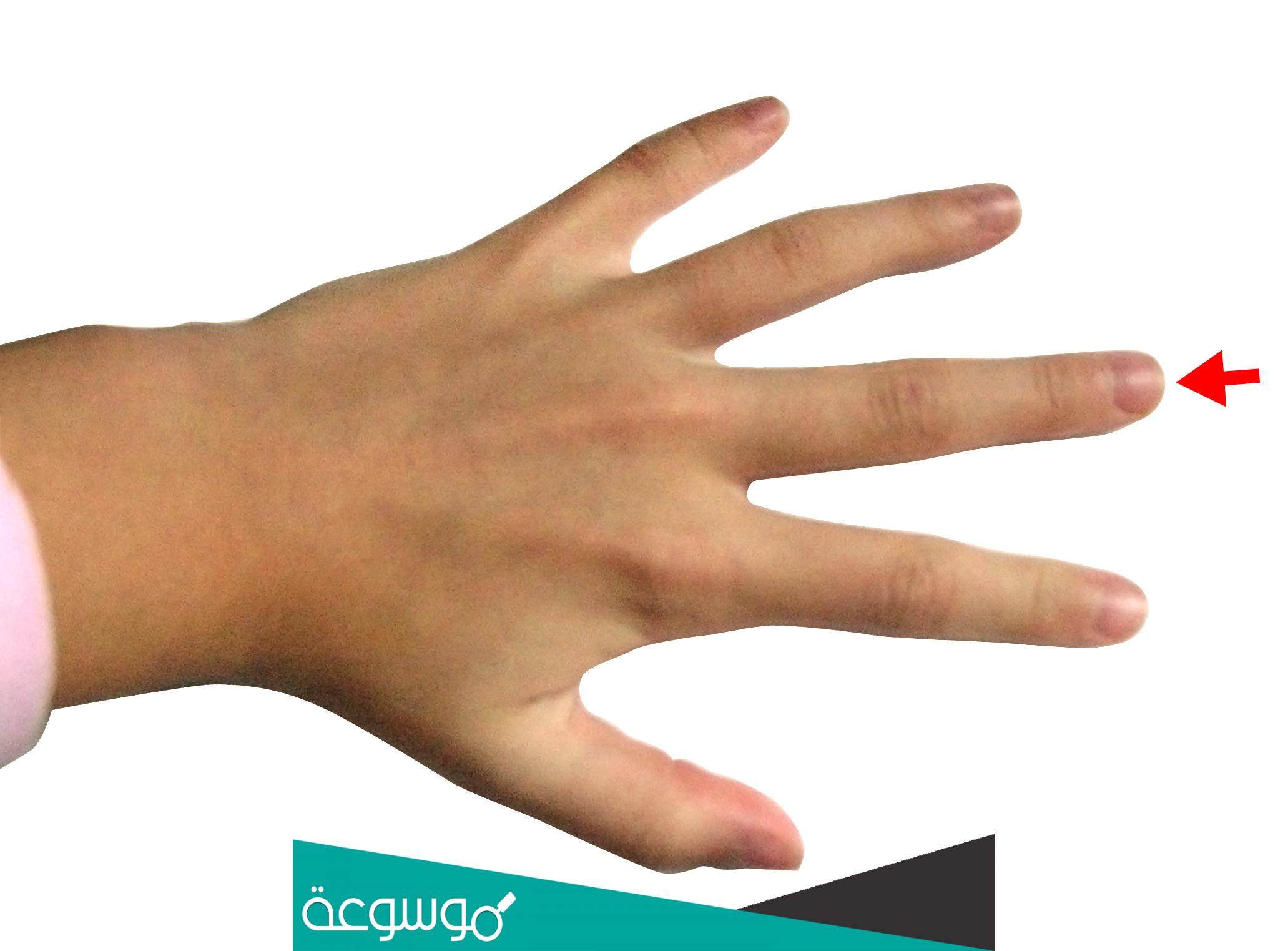 لماذا رفع الأصبع الوسطى عيب