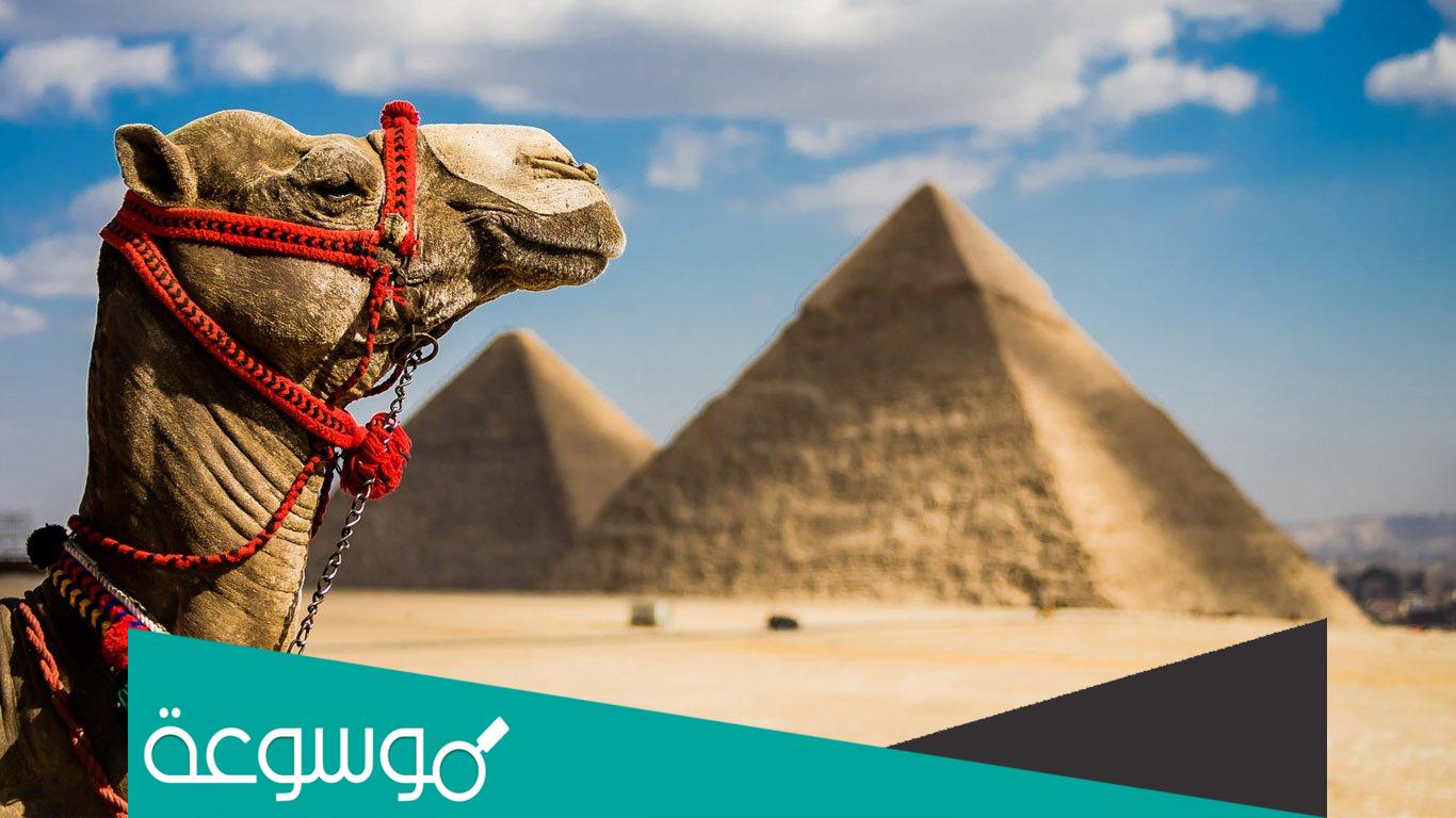 لماذا سميت مصر أرض الكنانة