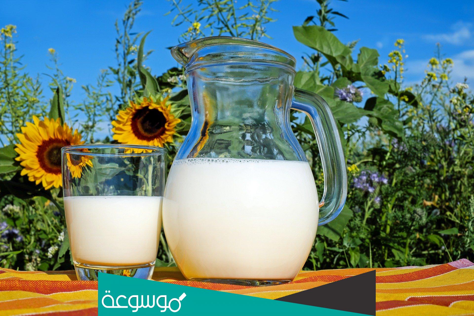 لماذا لون الحليب ابيض