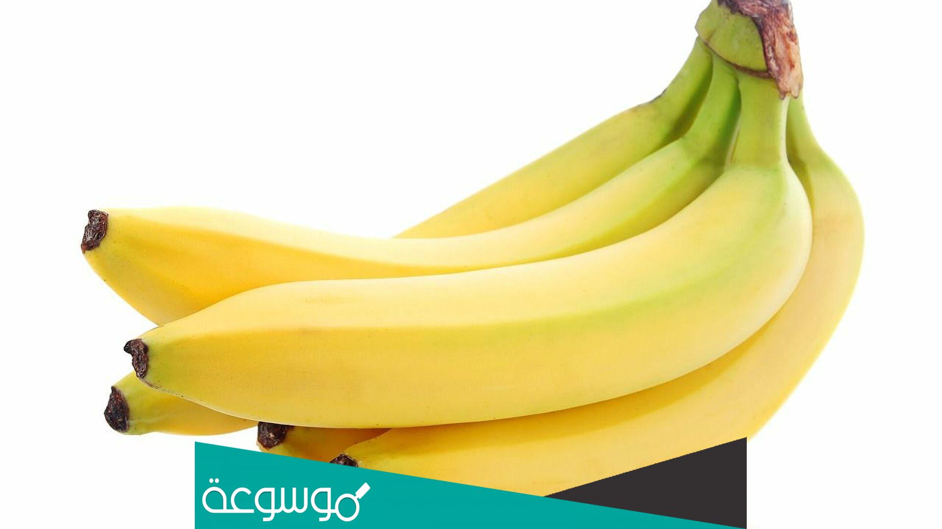 لماذا يسمى الموز قاتل ابيه