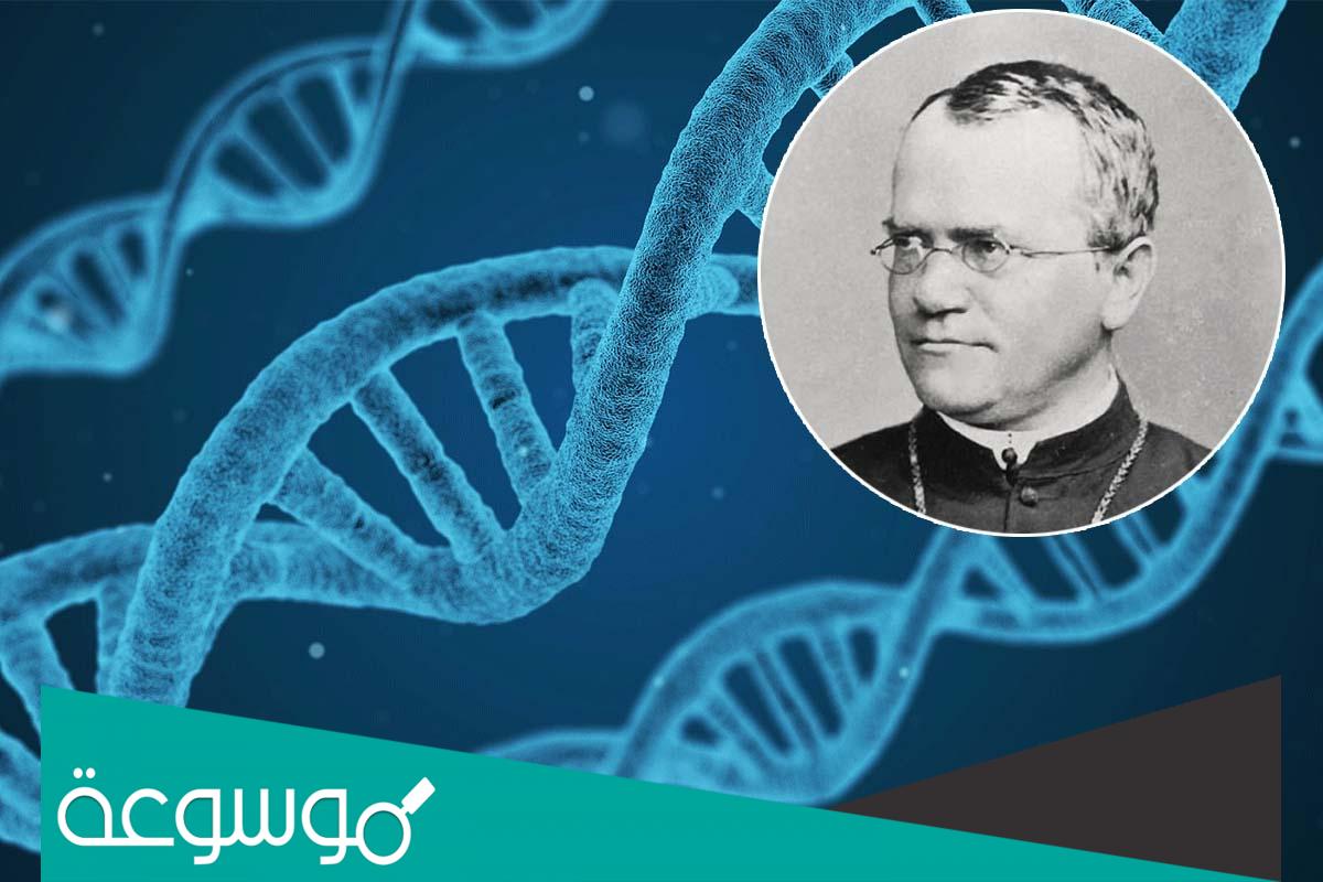 مؤسس علم الوراثة هو العالم