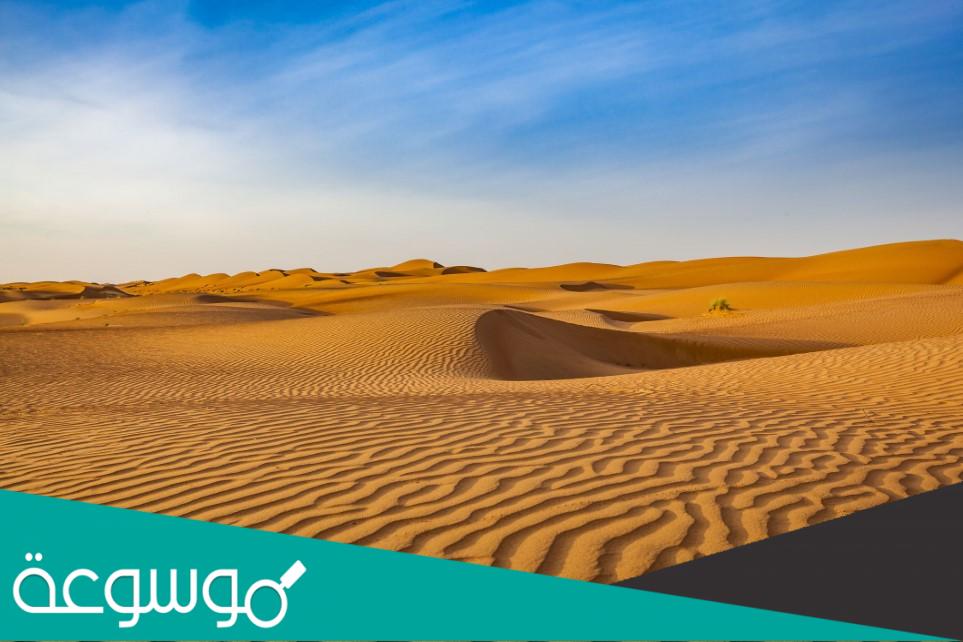 ما أصل قبيلة الرفاعي