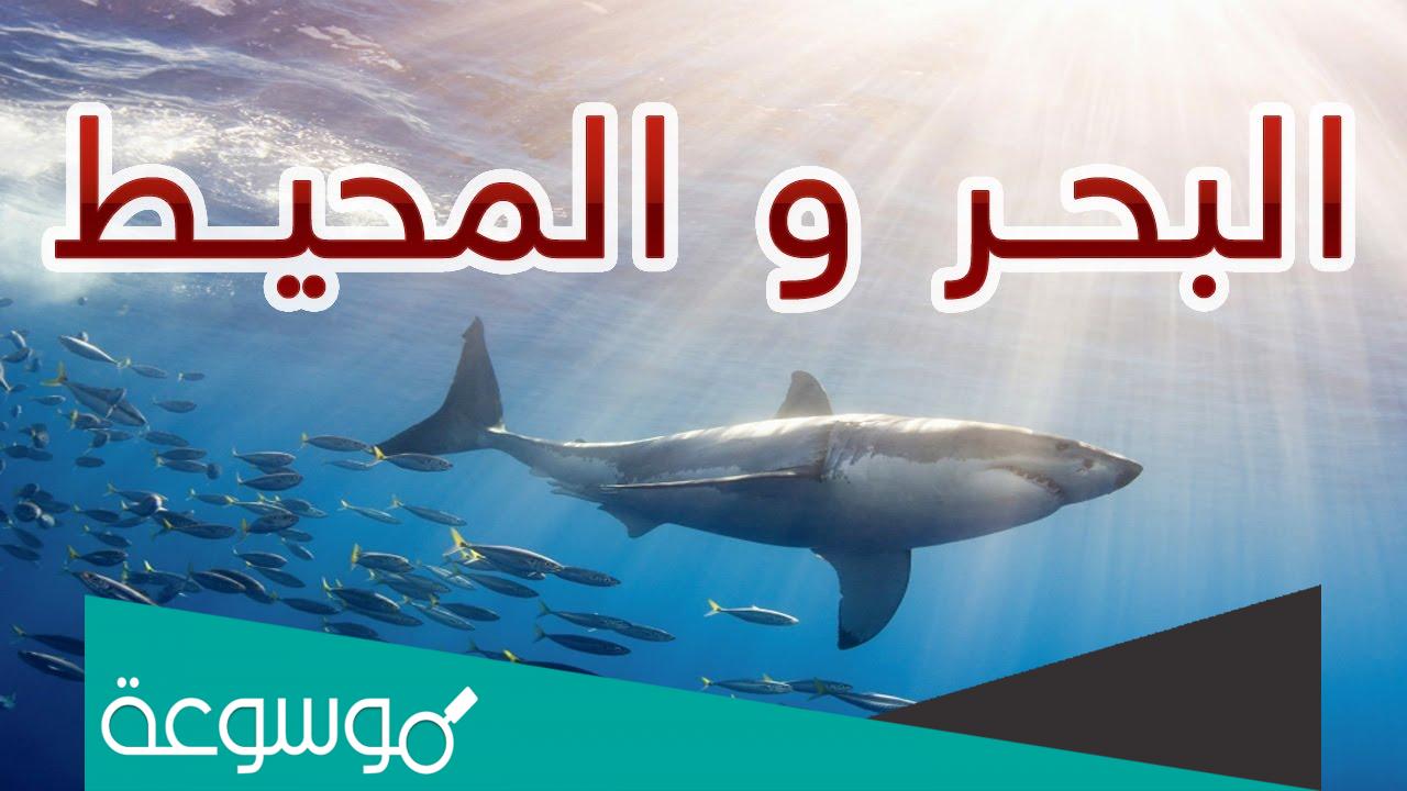 ما الفرق بين البحر والمحيط