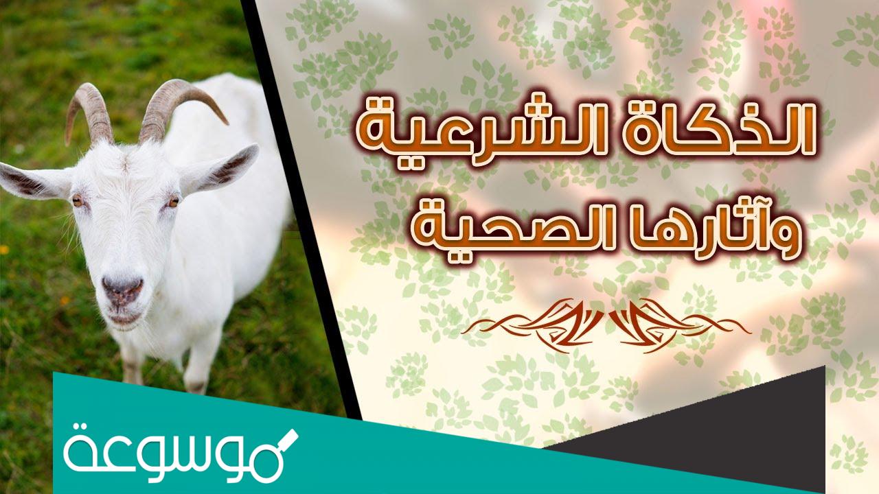 ما المقصود بالذكاة الشرعية