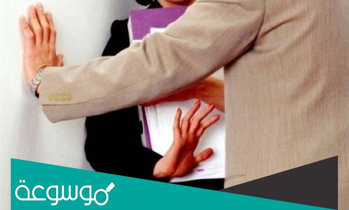 ما جنسية علاء الدين مشهور محمود إسماعيل