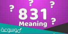 ما معنى رقم 831
