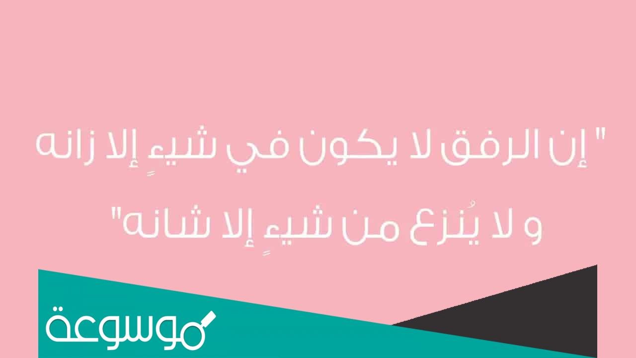 ما معنى كلمة زانه في حديث الرفق