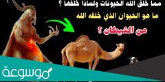 ما هو اسم الحيوان الذي خلق من الشيطان