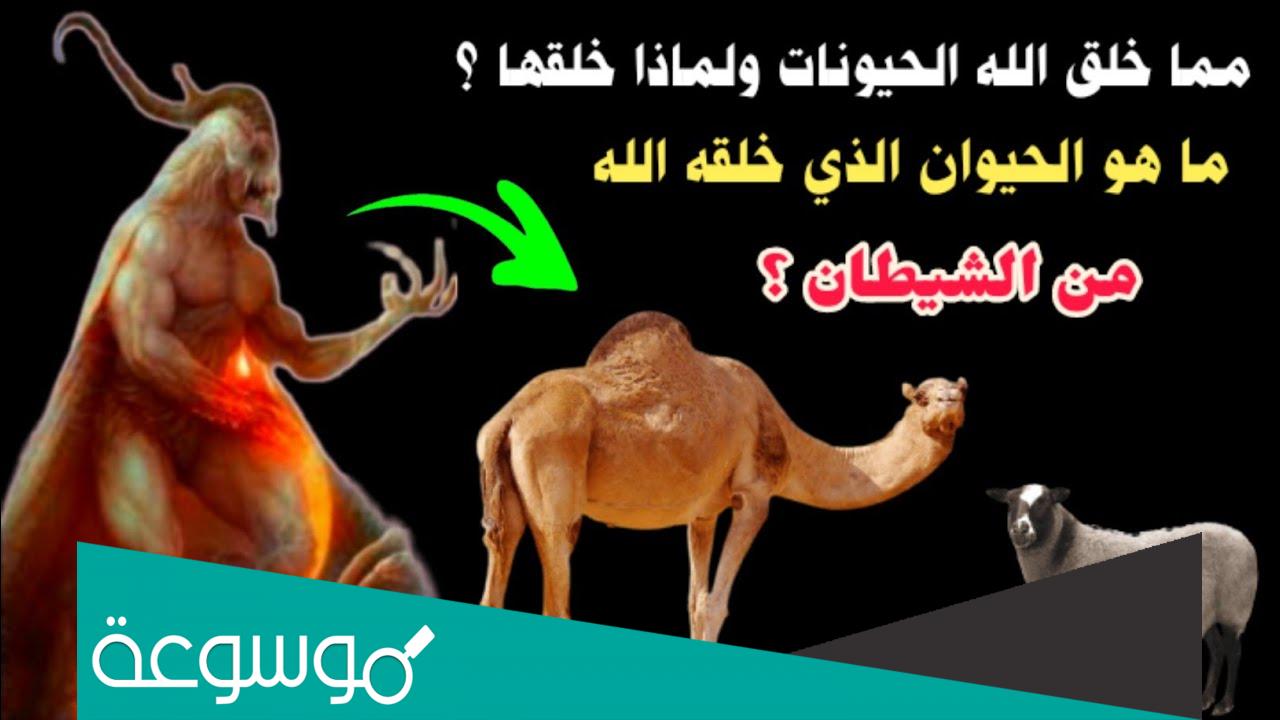 ما هو اسم الحيوان الذي خلق من الشيطان