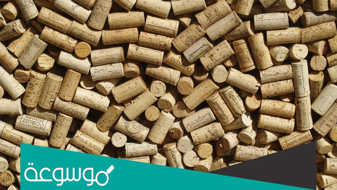 الشجرة التي يستخرج منها الفلين