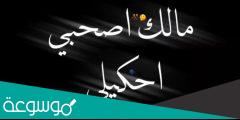 مالك يا صاحبي احكي لي كلمات