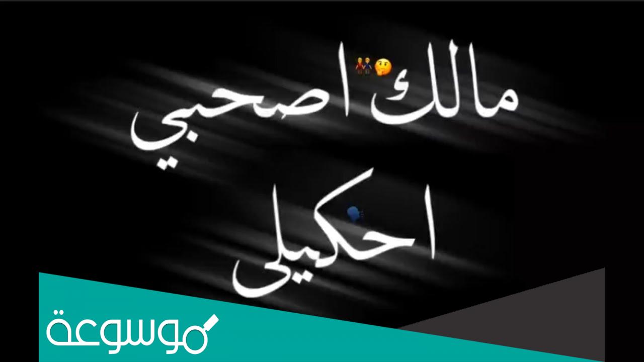مالك يا صاحبي احكي لي كلمات