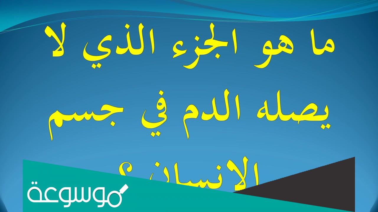 الجزء الذي لا يصله الدم في جسم الإنسان