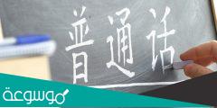 ماهي اللغة التي يتكلم بها اكبر عدد من الناس في العالم