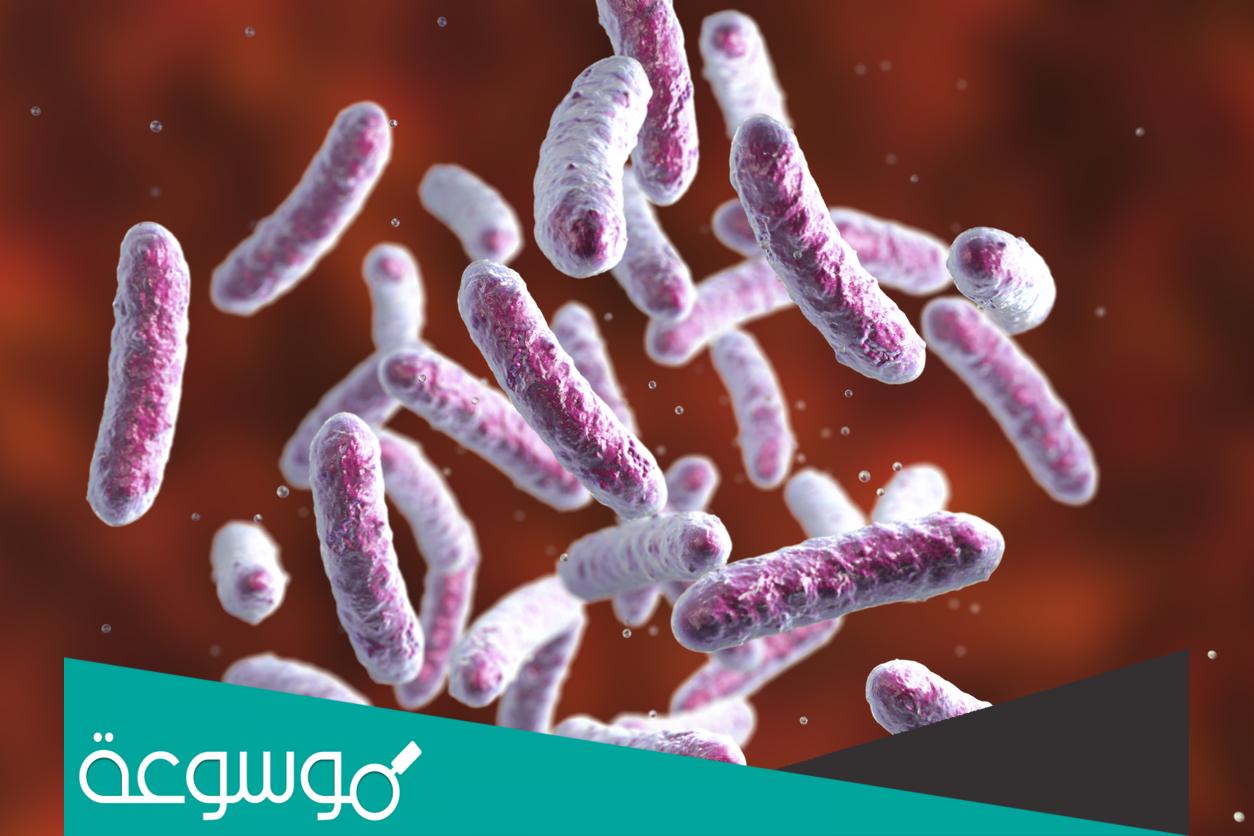 خطورة بكتيريا السالمونيلا على الرضع و طرق علاجها