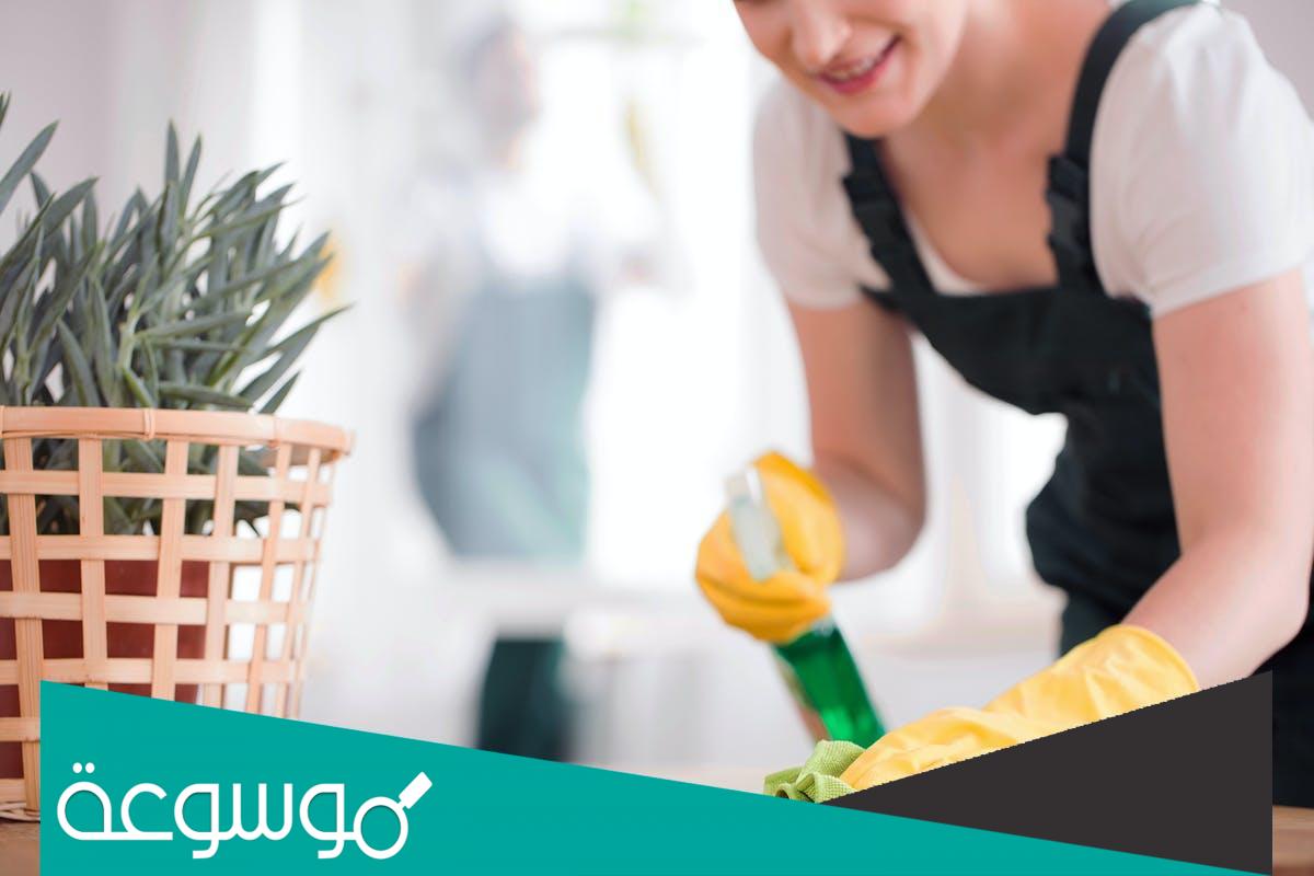 مسير رواتب عاملة منزلية في السعودية