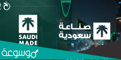 معلومات عن برنامج صنع في السعودية