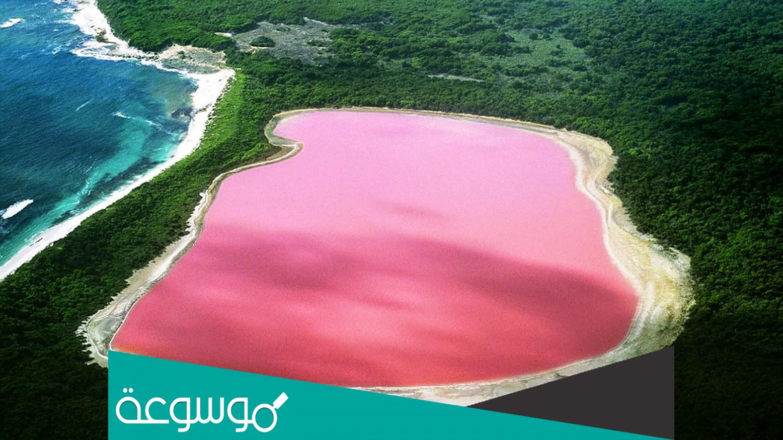  معلومات عن دولة السنغال