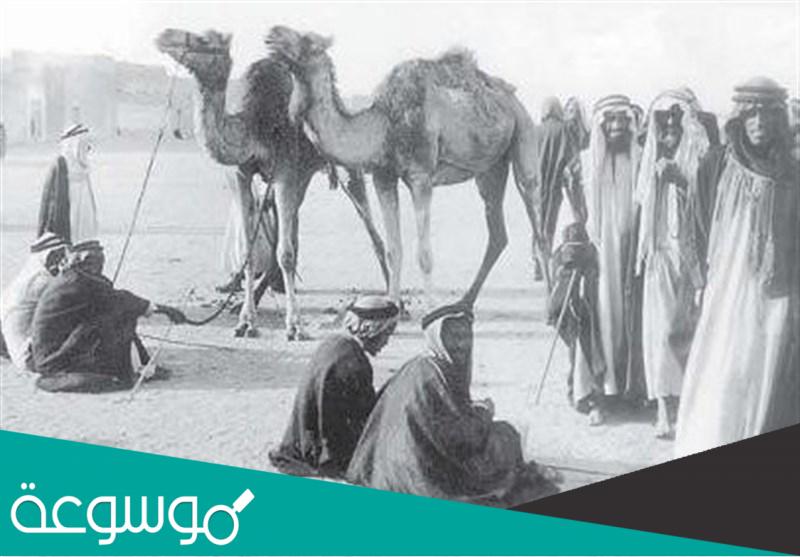 من هم العتوب ؟