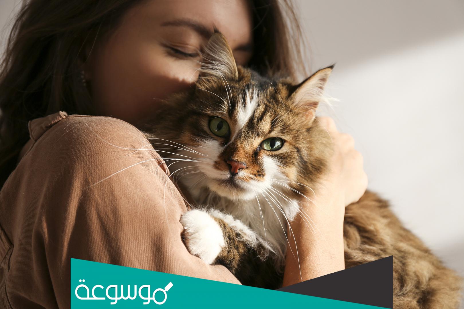 من هو الذي يغسل وجهه ولا يمشط شعره