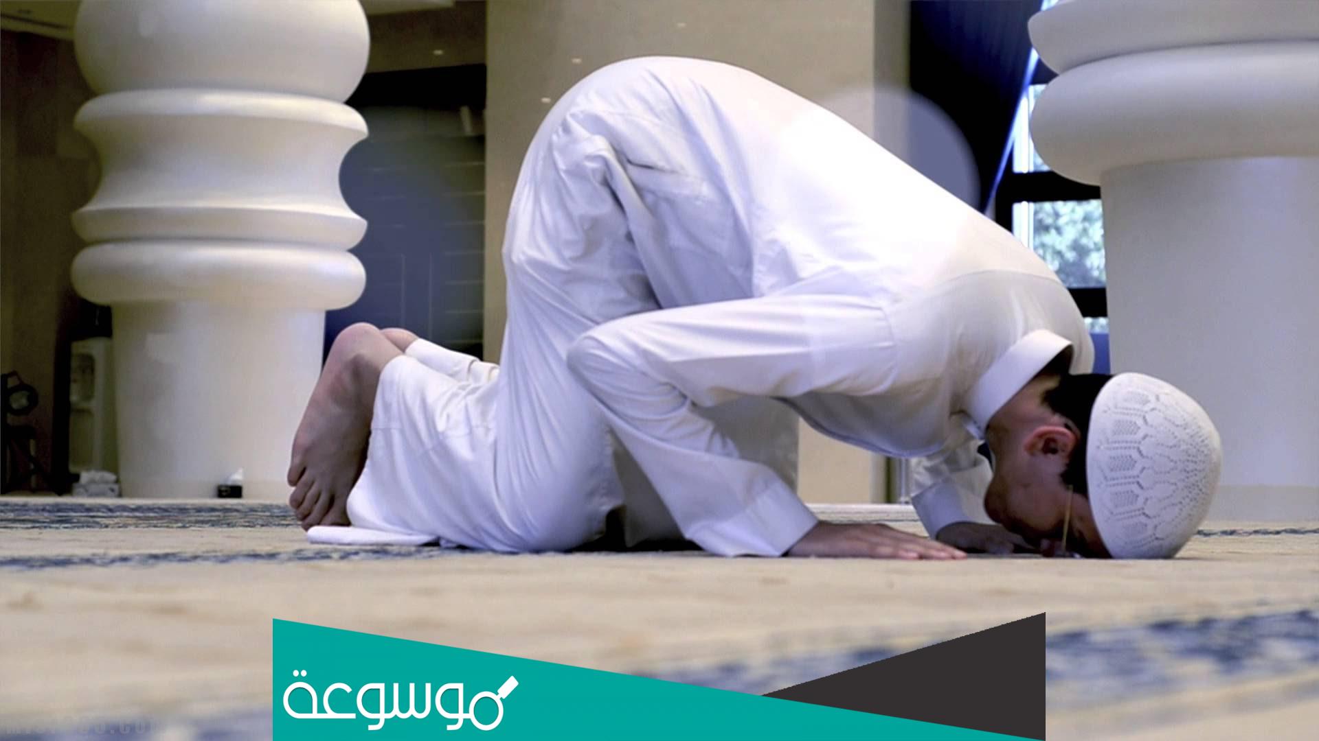 من هو صاحب السجدة الطويلة