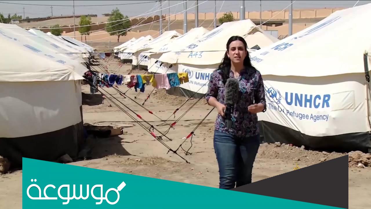 من هي سلام هنداوي ويكيبيديا