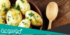 هل البطاطس المسلوقة تزيد الوزن