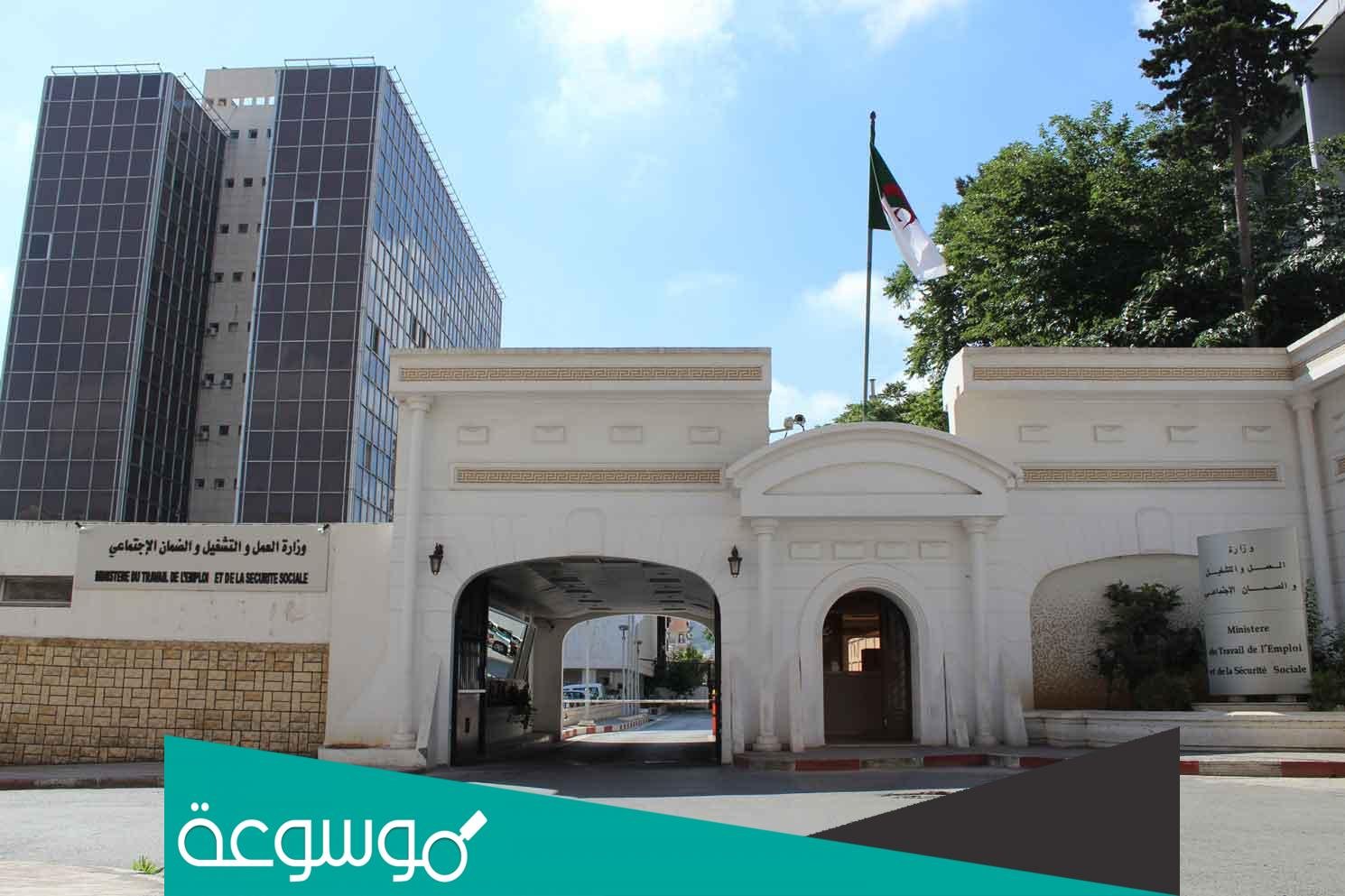 هل المرأة المتزوجة لها الحق في منحة البطالة