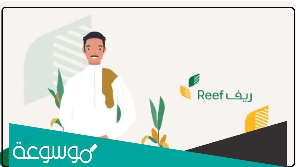 هل دعم ريف يؤثر على التقاعد