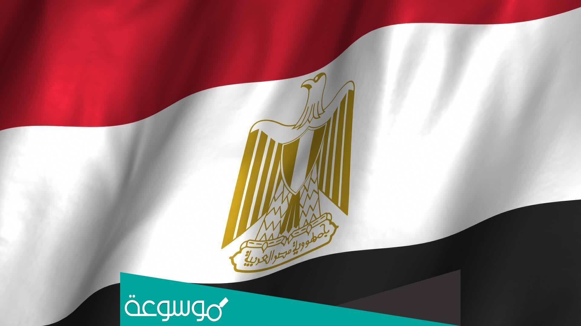 هل غدًا إجازة رسمية في مصر 20 فبراير 2022