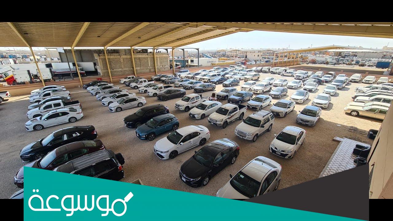 معرض قمة الرياحين السعودي