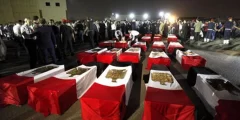 كم شهيد في مصر؟