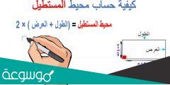 ما هو قانون مساحة المستطيل