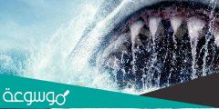قصة فيلم the meg ويكيبيديا