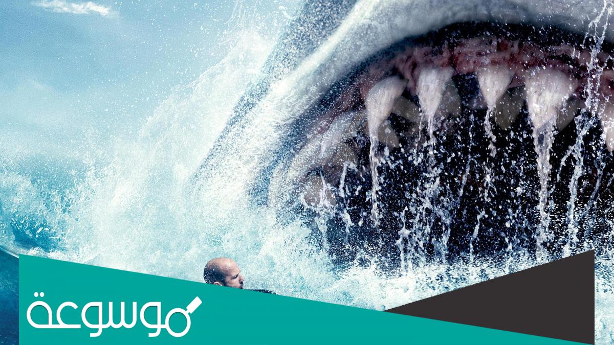 قصة فيلم the meg ويكيبيديا