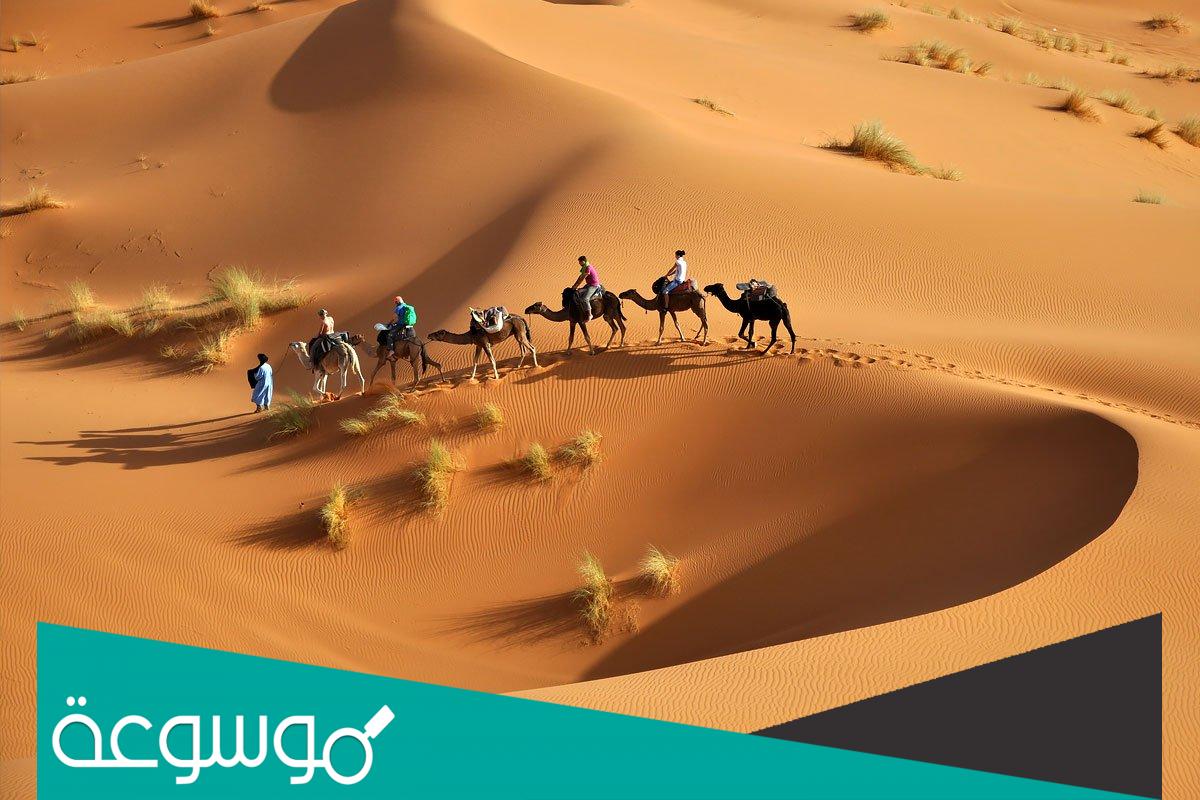 507 رمز اي قبيلة