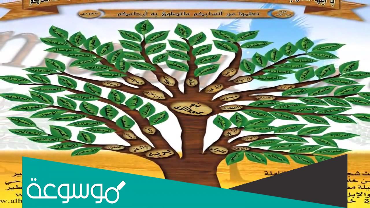 شيخ قبيلة مطير في مصر