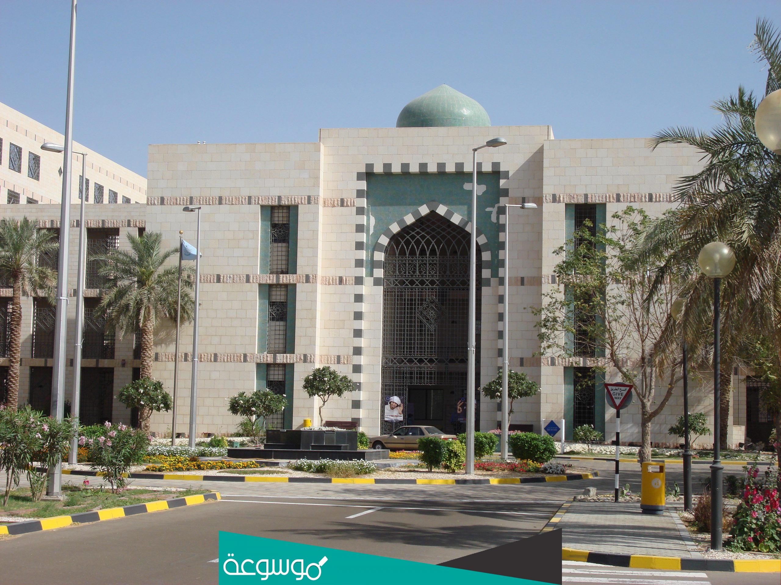 متى تاسست جامعة الامارات