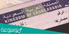 ما هي الدول المسموح لها بالتاشيرة السياحية السعودية؟