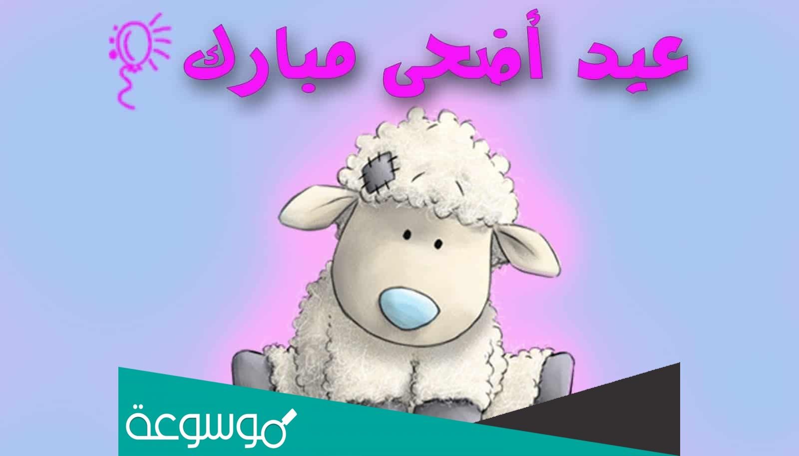 أجمل صور سكرابز خروف عيد الأضحى 1443