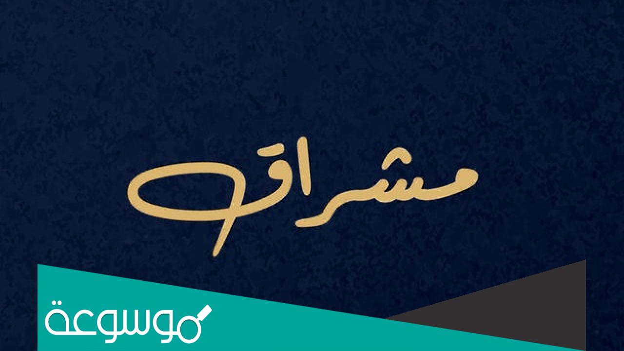 ابطال مسلسل مشراق رمضان 2022