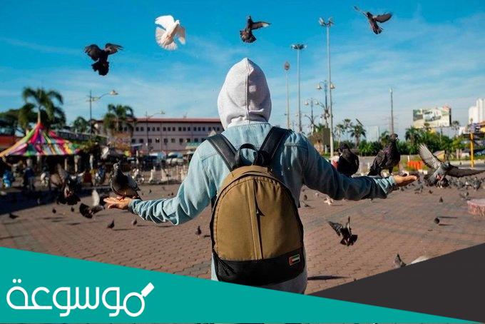 ارقام الاتصال على برنامج قلبي اطمان رمضان 2022