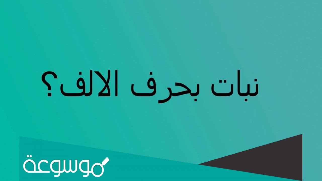 اسم نبات بحرف الألف أ
