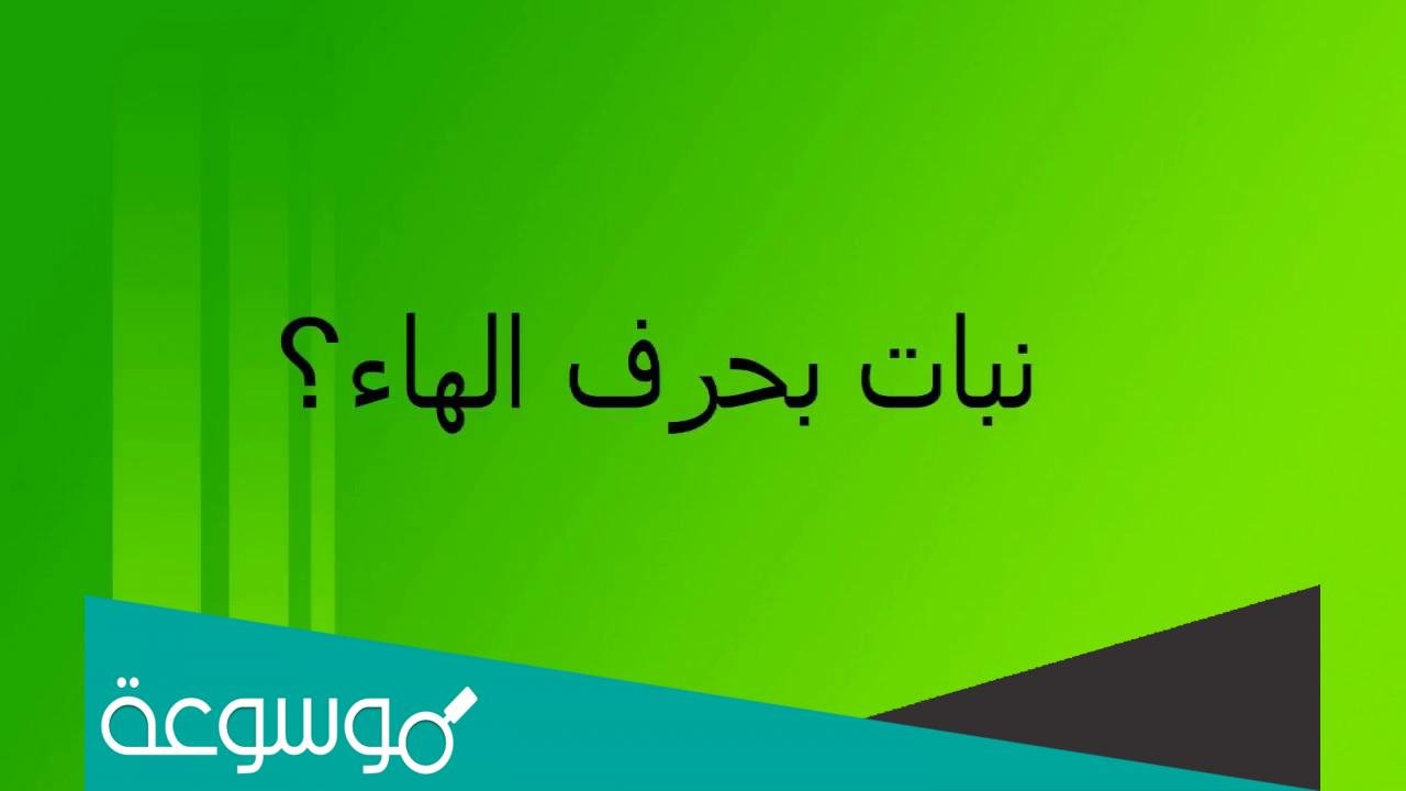 اسم نبات بحرف الهاء ه