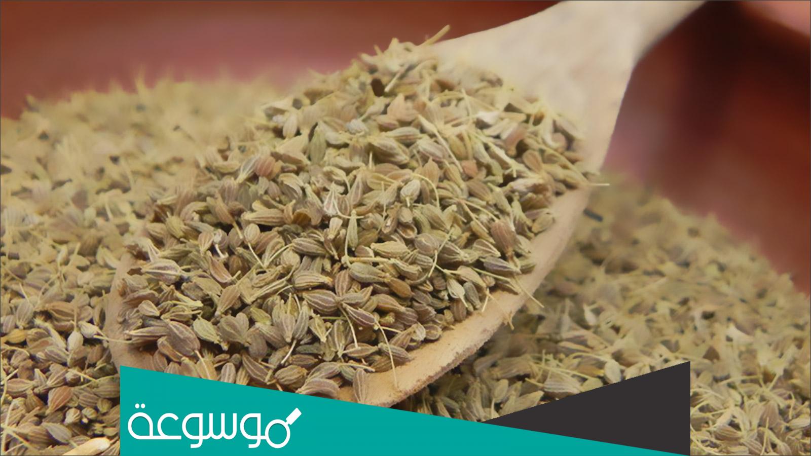 افضل انواع اليانسون