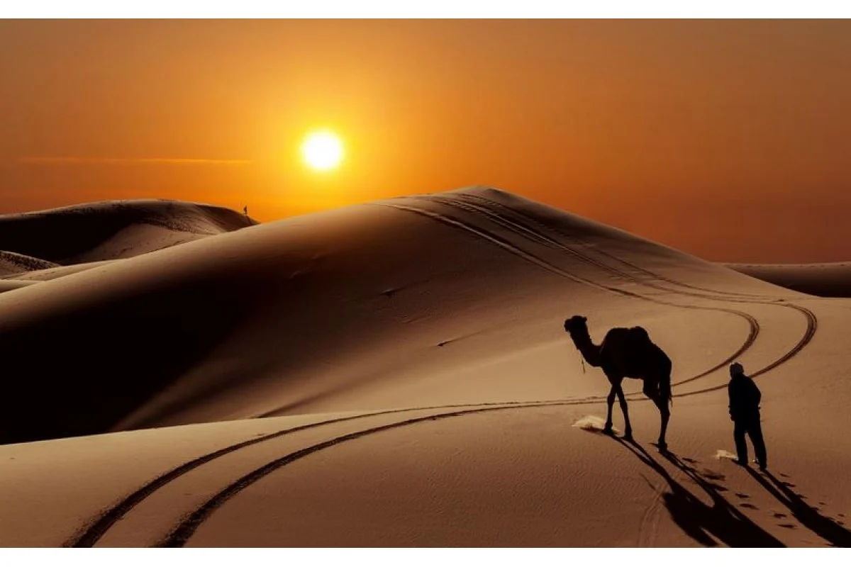 السويلمي وش يرجعون